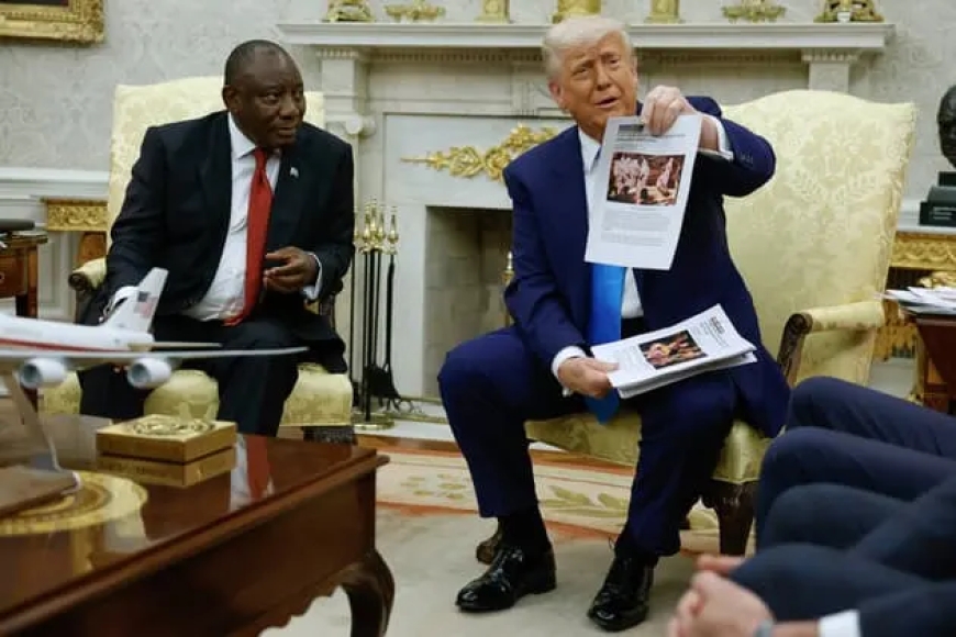Accusation de "génocide" en Afrique du Sud: les erreurs dans les vidéos de Donald Trump