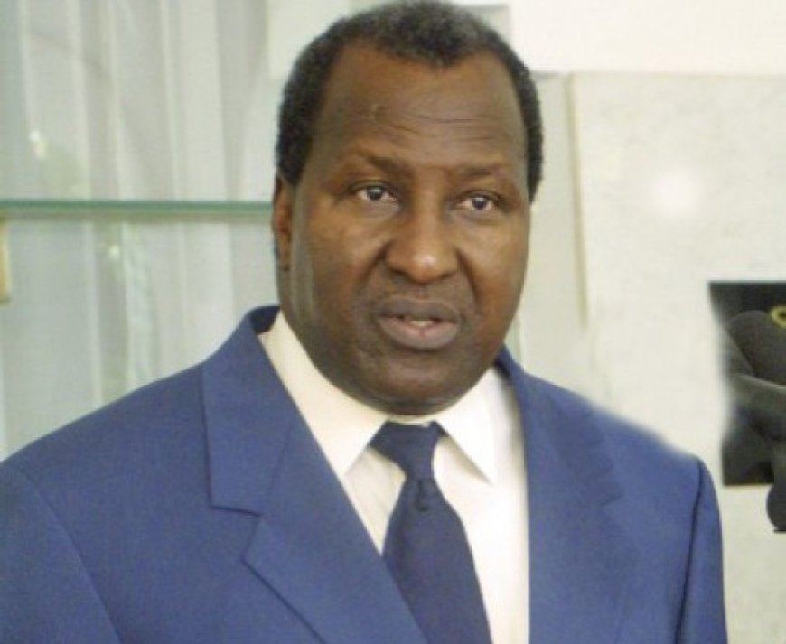 Union africaine : La longue marche d'une organisation
