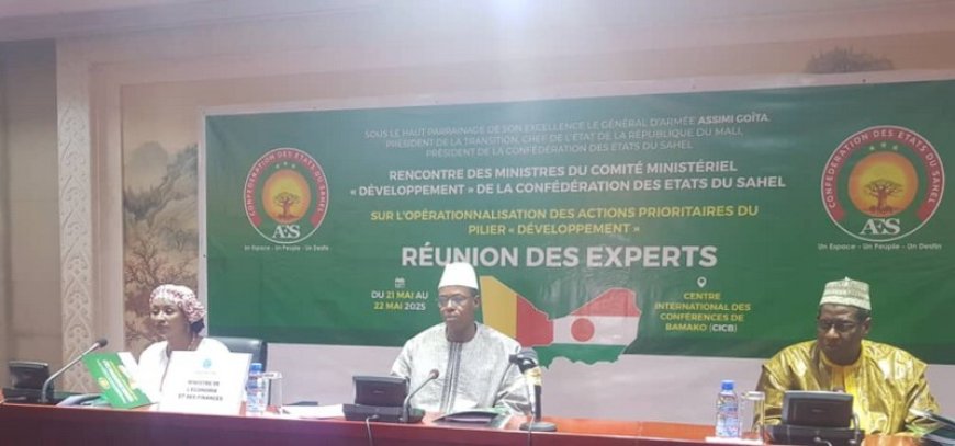 Comité ministériel de développement de l’AES : Concrétiser la vision