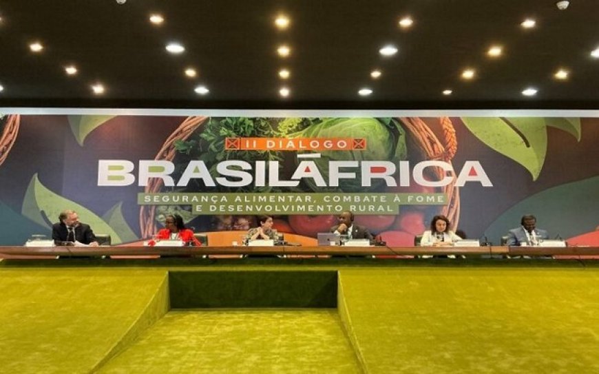 2ème Dialogue Brésil-Afrique : Le Ministre Youba Ba signe un important protocole sanitaire