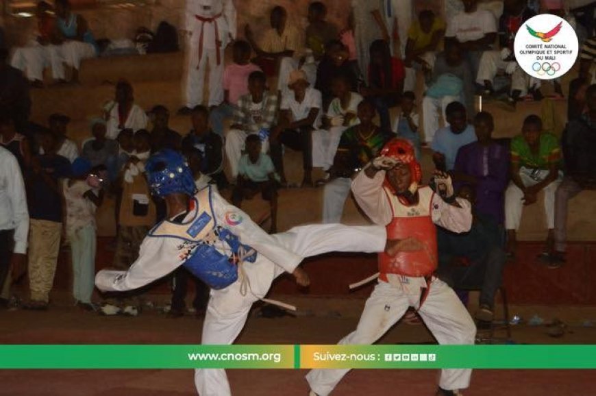 Taekwondo : Un avenir prometteur