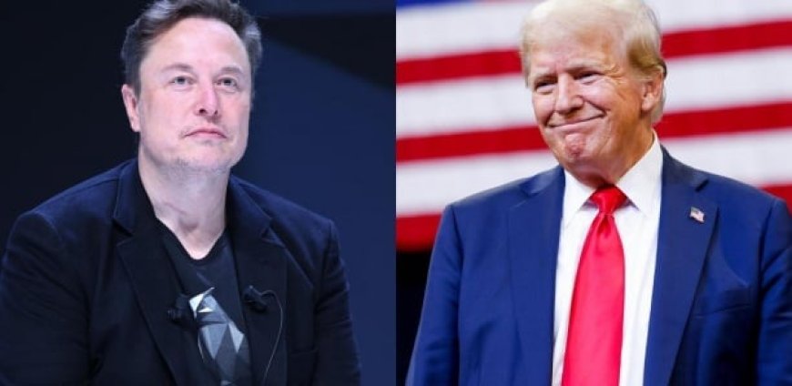 Musk, "déçu" par Trump, quitte son rôle gouvernemental