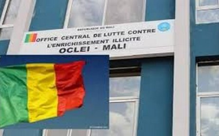 L’OCLEI sous la présidence de Moumouni Guindo : Identification de 500 biens immobiliers liés à une quarantaine de personnes