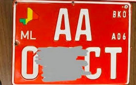 Plusieurs responsables de l’ONT plombés par la Douane