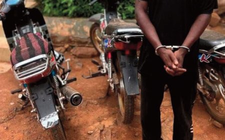 Sikasso : La Police démantèle un réseau de voleurs d'engins à deux roues