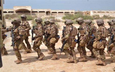 Mali :  les zones de Boulkessi et Mondoro désormais placées sous haute surveillance après deux attaques terroristes successives