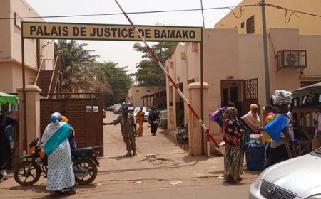 Plainte aux fins d’annulation des décrets d’abrogation de la charte et la dissolution des partis politiques :  Trois des six Tribunaux de Grande Instance de Bamako se déclarent incompétents