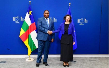 Rencontre diplomatique entre la RCA et l’UE à Bruxelles: Touadéra résiste aux pressions européennes