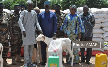 Fête de Tabaski : Le chef de l'Etat offre des moutons aux veuves, orphelins et blessés de guerre