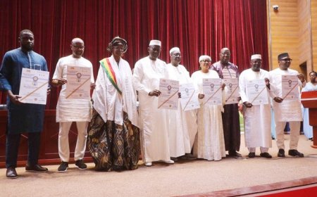 Pour leur dévouement a la cause de la nation : Plusieurs personnalités primées par IDS-Afrique Consulting !