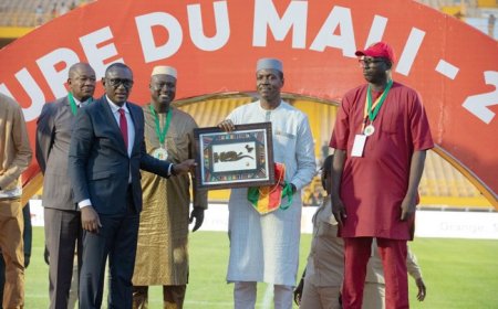 Pour sa contribution au rayonnement du sport : Le Premier ministre Abdoulaye Maïga reçoit une distinction !