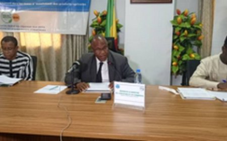 2ème Session Extraordinaire du Comité National de Pilotage du Projet Inclusif/SD3C : Un Satisfecit Partagé