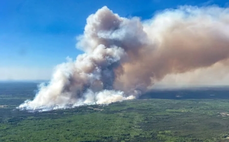 "Nous sommes face à un monstre": nouvelles évacuations au Canada face aux incendies de forêts