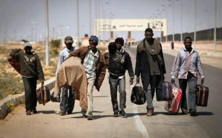 Politique : La migration, une opportunité à saisir