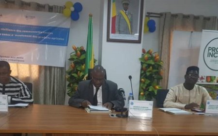 2e session extraordinaire du comité national de pilotage du projet inclusif : Un bilan encourageant