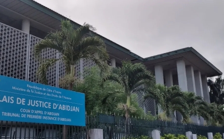 Côte d'Ivoire : cinq ans de prison pour un proche de Guillaume Soro