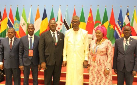 Réunion ministérielle du FOCAC à Changsha : Le plaidoyer du ministre Diop en faveur du Mali et de l'AES