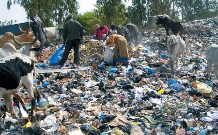 Hivernage / sachets plastiques : A Missabougou, le collecteur obstrué
