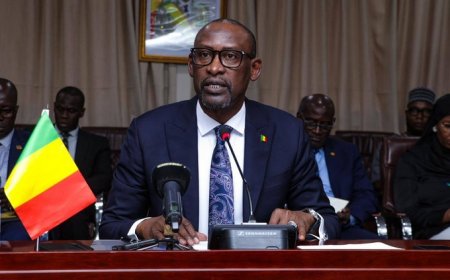 Missions diplomatiques et postes consulaires : Plusieurs décrets de nomination abrogés