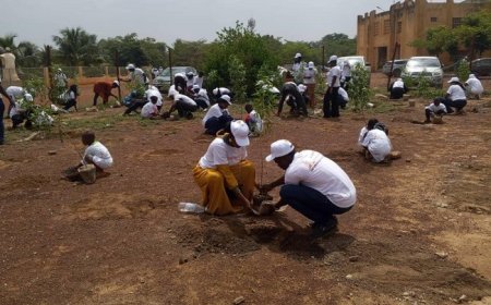 Journée Mondiale de l’Environnement : Orange Mali plante 1000 Pieds d’Arbres à la Cité des Enfants