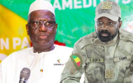 Me Mountaga Tall conseille Assimi : « Il faut renoncer au mandat de cinq ans »