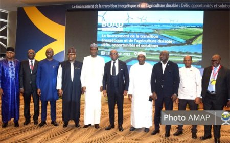 Développement de la zone Uemoa : Les propositions des BOAD development days