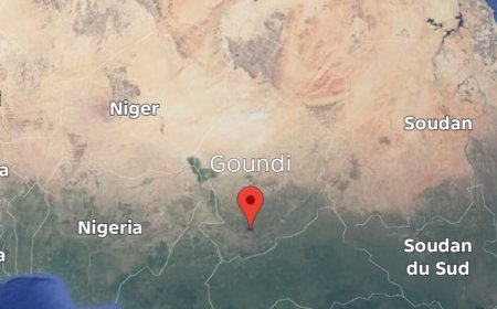Tchad : un père tue ses 5 enfants avant de se suicider à Goundi