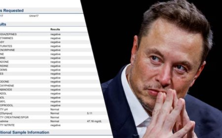 Face aux révélations sur sa consommation de drogues, Musk publie des analyses d’urine, mais peine à convaincre