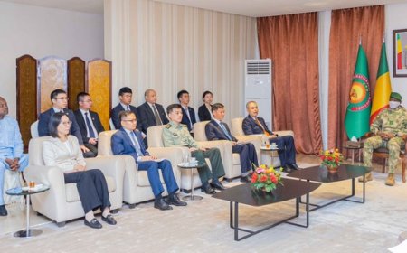 Suivi des accords du FOCAC 2024 :   Une délégation chinoise chez Assimi Goïta