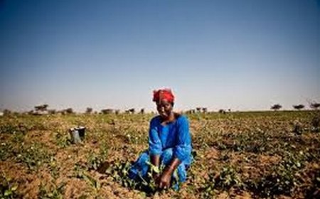 Sahel : le changement climatique comme facteur aggravant des conflits