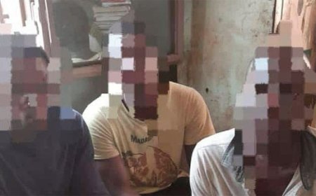 Koutiala : Des voleurs d’aliment pour bétail interpellés