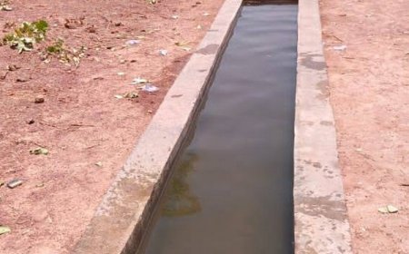 Adoption de la SNSSBM : Stabiliser et sécuriser le cheptel malien à l’horizon 2034