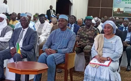 Irrigation au Mali :  Et voilà le PDI-BS II