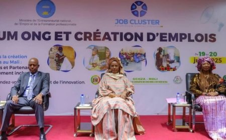 Forum Job Cluster : Les ONG et la création d’emplois au Mali