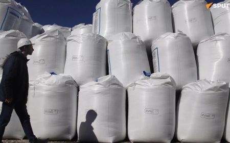 Le Mali veut s’approvisionner en engrais russes