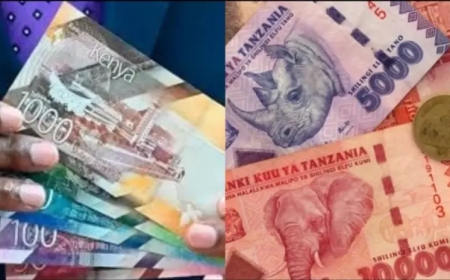 Voici les 10 pays africains avec les plus gros budgets en 2025