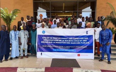 Passation des marchés publics au Mali : Le Pnud renforce les capacités des OSC et des médias