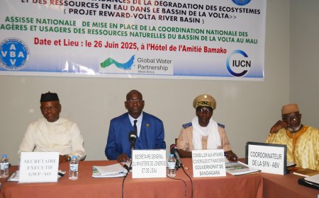 Mali : Mise en place d’une Coordination nationale des usagers du bassin de la Volta