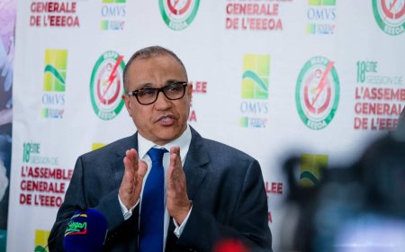 Conseil Exécutif du WAPP : Le Directeur général de la SOGEM, Mohamed Mahmoud SID’ELEMINE, élu Vice-Président pour 3 ans