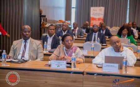 Bureau exécutif du CREDAF : Hamadou Fall Dianka, Directeur général des Impôts, élu  comme Administrateur, représentant pour les pays de la zone Afrique de l'ouest