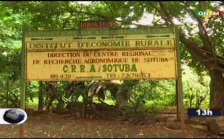 Institut d’Économie et Rurale: Le départ massif à la retraite des chercheurs inquiète !