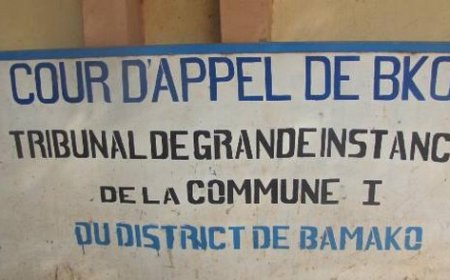 Les tribunaux des communes 1 et 6 examineront la plainte des ex-partis politiques :  A quoi devrait-on s’attendre de ces deux juges ?