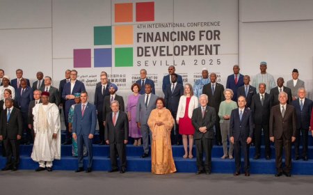 Financement du développement : le Mali présent à la 4e Conférence internationale de Séville