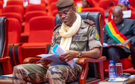 Séance plénière : Le Mali crée Création de l’Office national des anciens Combattants, Militaires et Victimes de Guerre de Mali