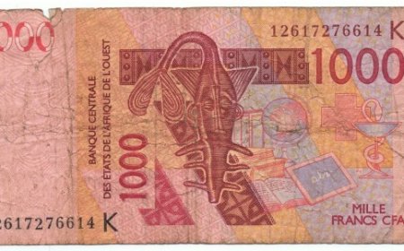 Du franc cfa à la quête d'autonomie : Le Sahel face à un choix crucial
