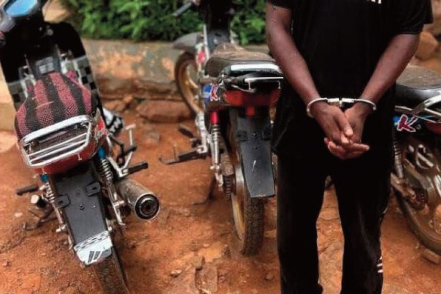 Sikasso : La Police démantèle un réseau de voleurs d'engins à deux roues