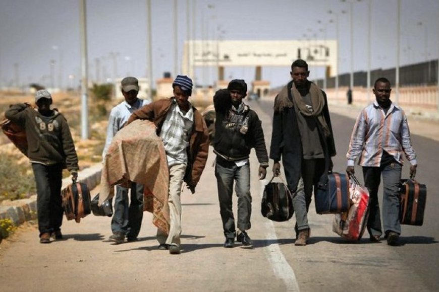 Politique : La migration, une opportunité à saisir