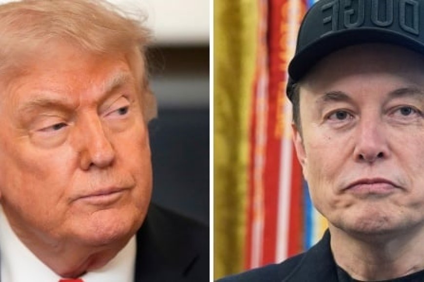 Attaques contre Trump : La reculade d'Elon Musk