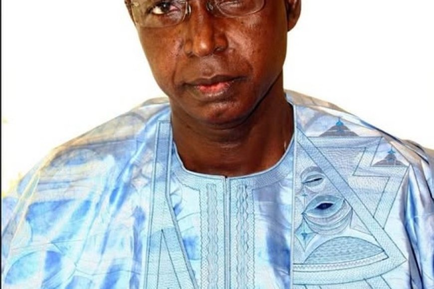 Décès d’iba Ndiaye : Le Mali sevré d’une précieuse expertise pour sa refondation