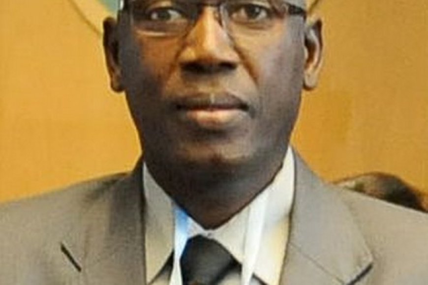 Mali : Qui est l’expert-comptable Soumana Makadji nommé administrateur provisoire du complexe minier Loulo-Gounkoto ?